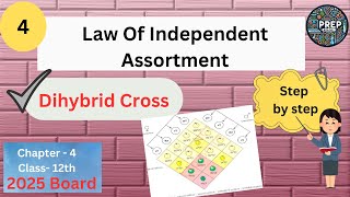 Law of Independent Assortment  Dihybrid Cross 12th Biology Ch4 [upl. by Teerprah]