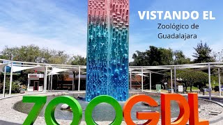 RECORRIENDO EL ZOOLOGICO DE GUADALAJARA [upl. by Minsat]