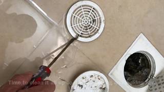 DIY Unclog Shower Drain With Standing Water [upl. by Elyc]