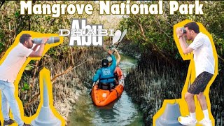 Exploring Mangrove National Park Abu Dhabi [upl. by Leboff]