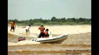 Selancar Ombak Bono Kampar  Bono Waves Kampar River Surfing [upl. by Todhunter]