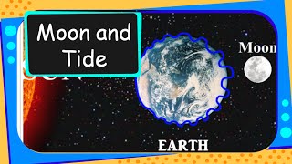 Science  Why Tides Occur  English [upl. by Artened]