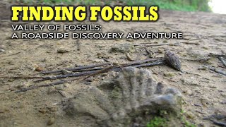 Finding Fossils  Valley of fossils  A Roadside discovery adventure [upl. by Krueger399]