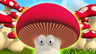 Gazoon  Mushroom Monster🍄Jungle Book Diaries  Funny Animal Cartoon For Kids [upl. by Adnoryt]