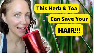 HORSETAIL TEA BENEFITS How This Herb and Tea Can Save Your Hair and so much more [upl. by Ennaoj]