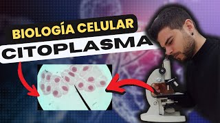 🔴 ¿Cómo FUNCIONA el CITOPLASMA en la CÉLULA [upl. by Bonny]