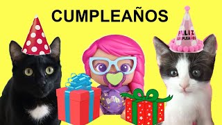 Regalos sorpresa de mis gatos Luna y Estrella en el cumpleaños de los Bellies  Videos de gatitos [upl. by Verdi]