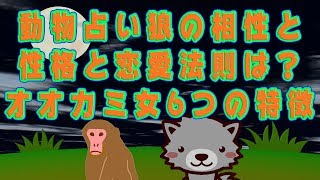 動物占い狼の相性と性格と恋愛法則は？オオカミ女6つの特徴 [upl. by Ike]