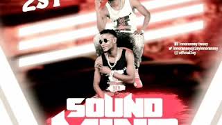 2SY Sound mind Official Audio [upl. by Noiram]