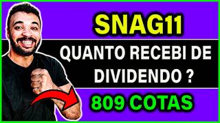 SNAG11 QUANTO RECEBI DE DIVIDENDOS QUAL A SITUAÃ‡ÃƒO DOS FIAGORS NO BRASIL [upl. by Yelyab]