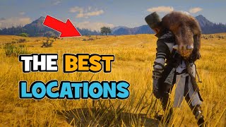 The Best Locations in Red Dead Online for Camp and Moonshiner Shack [upl. by Omlesna]