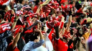 O dia em que o benfica foi campeão 20122013 [upl. by Otes]