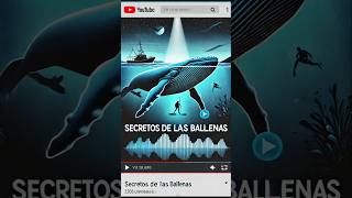 Los Secretos Más Sorprendentes de las Ballenas [upl. by Akimahs464]