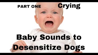 Baby Crying Sounds For Desensitizing Dogs [upl. by Ecinad447]