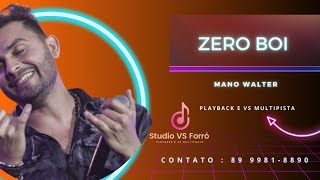 Zero Boi  Playback e VS Multipista  Mano Walter [upl. by Linson]