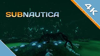 Subnautica quotLost Riverquot  4K [upl. by Kosel]