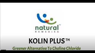 Kolin Plus Powder from Natural Remedy  Choline Chloride for Poultry Nutrition and Health [upl. by Tatiana]