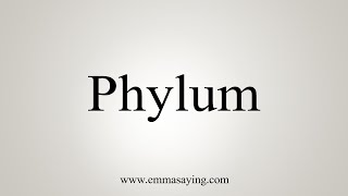 How To Say Phylum [upl. by Madison]