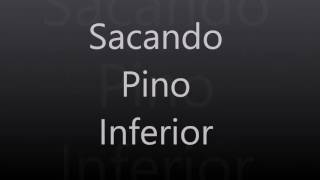 SACADOR DE PINO LINHA CHEVROLETGM [upl. by Jillayne]