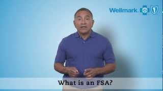 Understanding FSAs [upl. by Glenn]