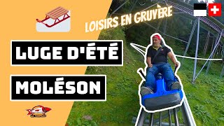 🇨🇭🛷 BOBLUGE DÉTÉ DU MOLÉSON TOBOGGAN DANS LA GRUYÈRE [upl. by Chiarra]