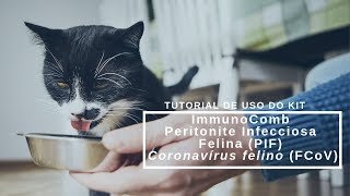 Tutorial de uso do kit ImmunoComb Peritonite Infecciosa Felina PIF Coronavírus Felino FCoV [upl. by Walley]