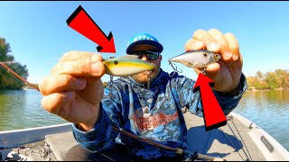 Lipless Crankbait Tricks You Need To Try  Stop Losing Fish [upl. by Atsyrk]