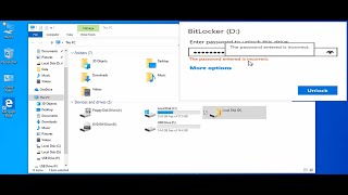 BitLocker Reset Password Forgotten Using USB [upl. by Inoy]