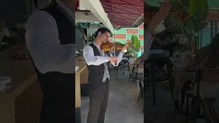 Pledging my Love  Elvis Presley randb soulmusic romanticmusic pledgingmylove elvis narviolin [upl. by Aklog370]