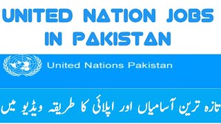 How to apply UN Jobs in Pakistan Today UN Jobs in Pakistan  UNDP jobs in Pakistan [upl. by Eirok]