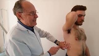 OSCE1 LungsComparative percussionDetermination of the mobility of the lower edge Auscultation [upl. by Alul439]