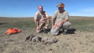 Best Grouse and Prairie Chicken Hunting [upl. by Anividul]