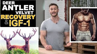 Does Deer Antler Velvet Speed Recovery IGF1 and Human Growth Hormone  Thomas DeLauer [upl. by Eddi221]