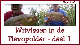 FEEDER VISSEN witvissen deel 1 WITVIS  feeder [upl. by Moe]