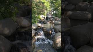 Downtown Kelowna Canada along the boardwalk kelowna canada waterfall [upl. by Enomaj]