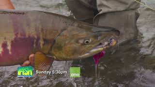 IFISH ATA Lodge Alagnak River Alaska [upl. by Maeve]