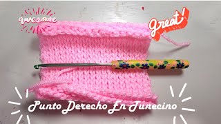 Aprende puntadas en Técnica Tunecino tunecino tutorial puntadas crochettutorial [upl. by Ravens]