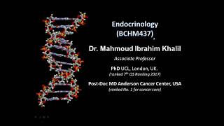 Lec1 Endocrinology  Slide 113 v2 [upl. by Lonne202]