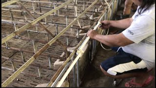 How To Install Water Drinker for GestatingFarrowing Pen [upl. by Zerelda]