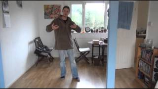 Qigong Insights [upl. by Eicrad771]