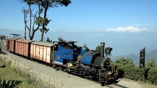 India 2016  Freight train on the Darjeeling Railway [upl. by Garold85]