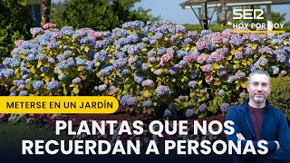 🥹 Plantas que nos recuerdan a personas  Meterse en un jardín con Eduardo Barba [upl. by Bilek829]