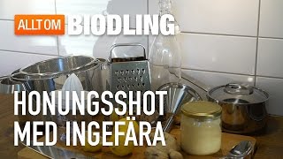 Frukostshot med honung ingefära och citron  Honungsrecept [upl. by Earazed]