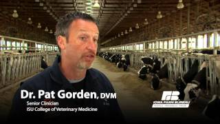 Iowa Minute Farmers work with veterinarians to keep livestock healthy [upl. by Ashelman]