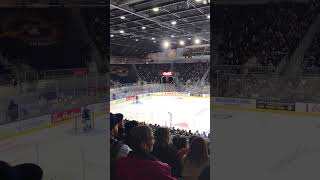 Toronto Marlies Game Action🇨🇦🤣🔥🏒💙😃 [upl. by Nairda]