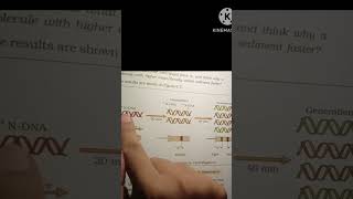 Meselson and Stahls experiment proof of DNA replication is semi conservative process shorts [upl. by Nnyllaf329]