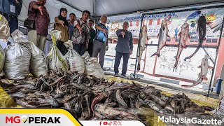 MGPerak Kaedah Perikanan Perak Akan Dipinda Susulan Ancaman Spesies Ikan Asing [upl. by Kattie]