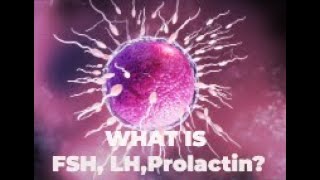 FSH LH Prolactin Test in Pune  Pathofast [upl. by Nysila]