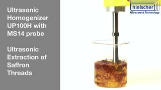 Ultrasonic Extraction of Saffron  Hielscher Ultrasonics [upl. by Enyad]