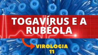 TOGAVÍRUS E A RUBÉOLA  VIROLOGIA  AULA 11 [upl. by Anihtyc911]